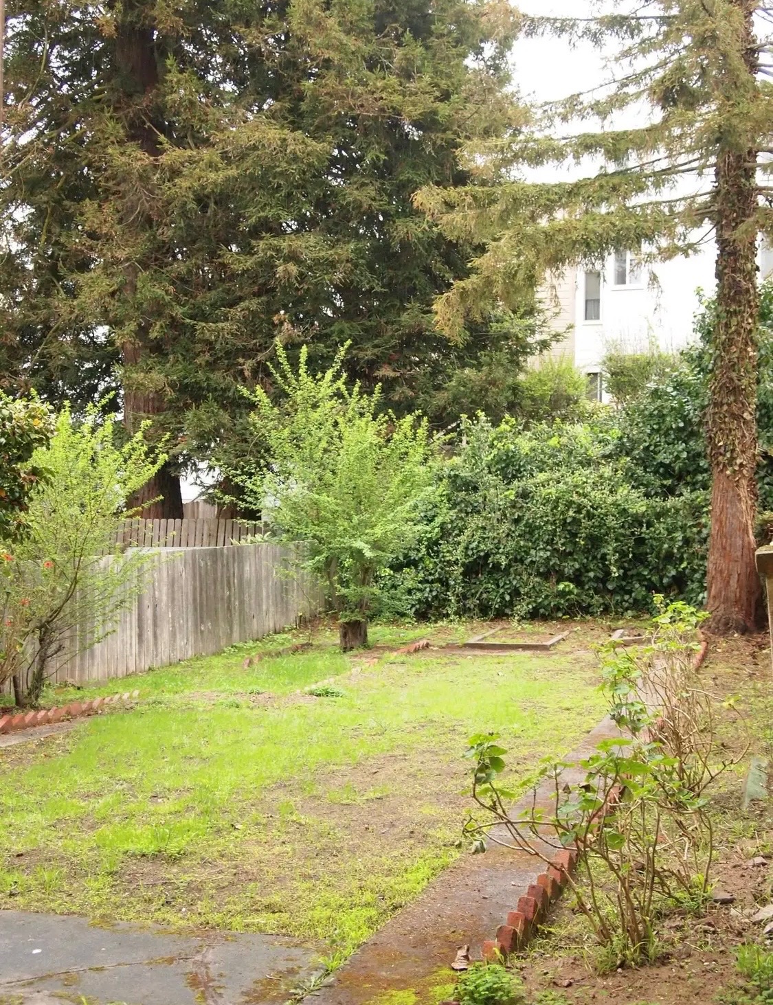 St. Carlo Acutis House - Backyard